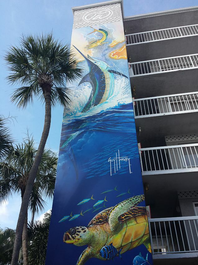 Click to See Next Image